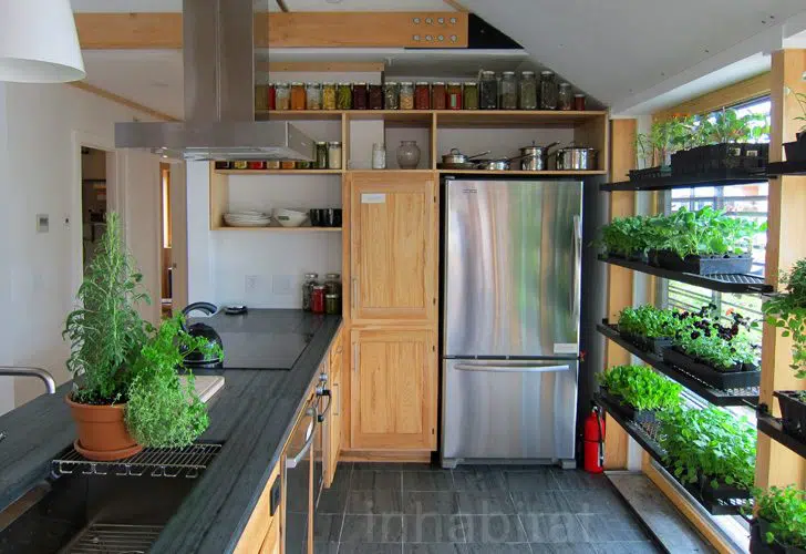 How to Grow Herbs in a Small Kitchen 