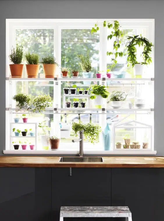 How to Grow Herbs in a Small Kitchen 