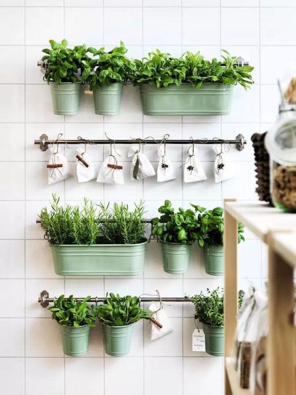 How To Grow Herbs In A Small Kitchen Recommend My