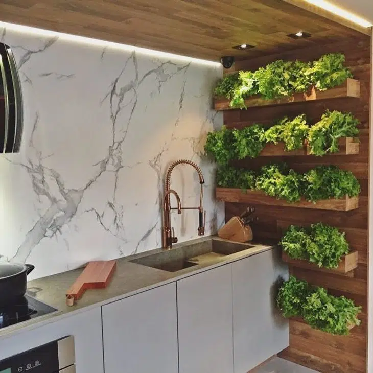 How to Grow Herbs in a Small Kitchen 