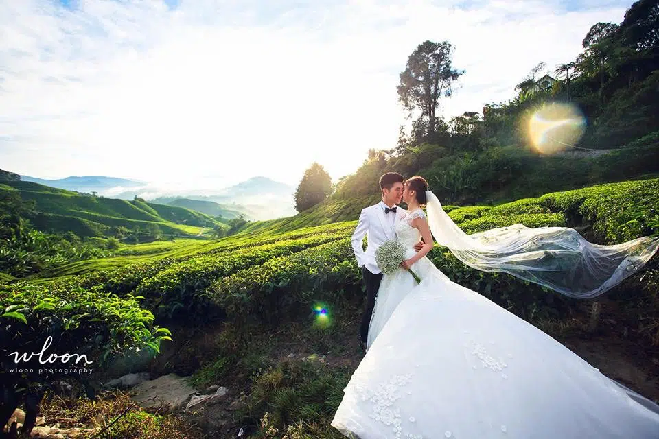 pre-wedding photos, cameron highlands