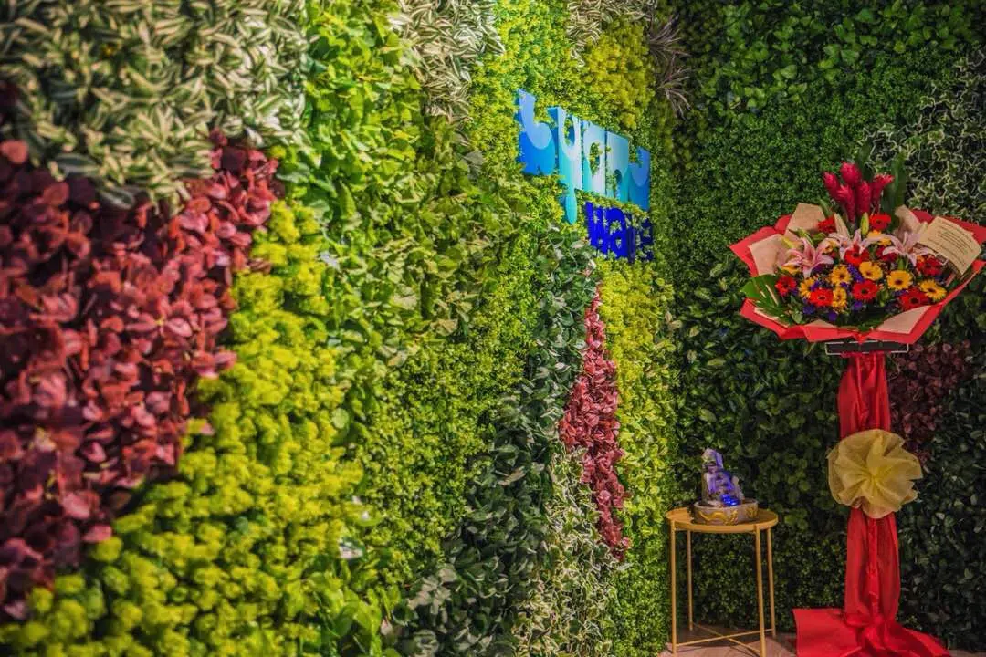 Vertical garden at the reception area of ByondWave office. Source: EzyOffice