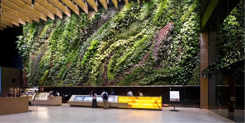 The vertical gardens at Six Battery Road in Singapore. Source