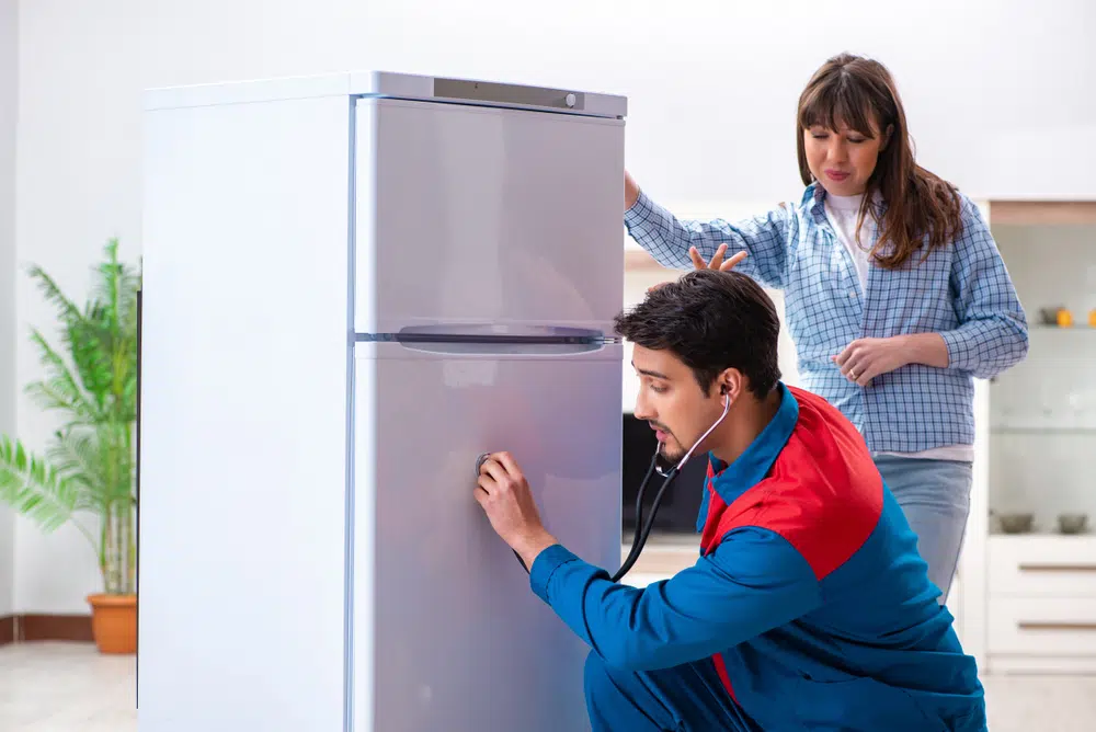 Routine fridge inspection protects you from surprise repairs later on