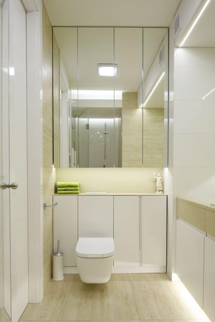 Mirrored bathroom cabinet over concealed toilet